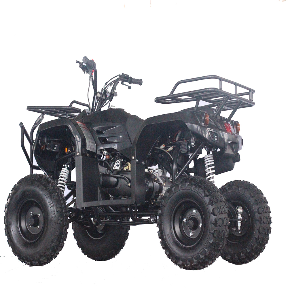 Красивый Прохладный Спорт 200cc квадроцикл atv название проектов электроники