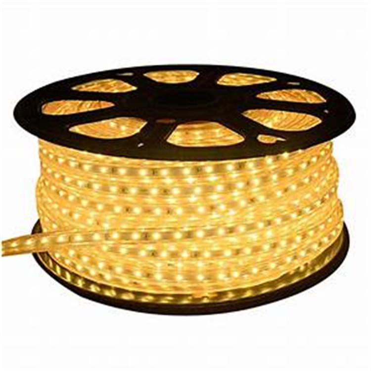 Outdoor led tape strip rope lights