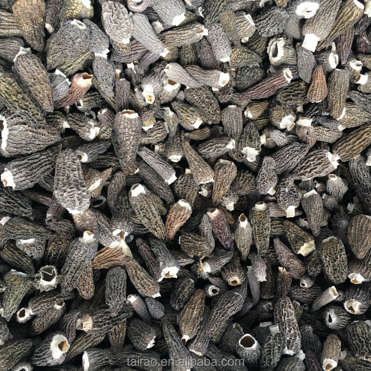 Hongo morchella сушеный Морель гриб morchella precio
