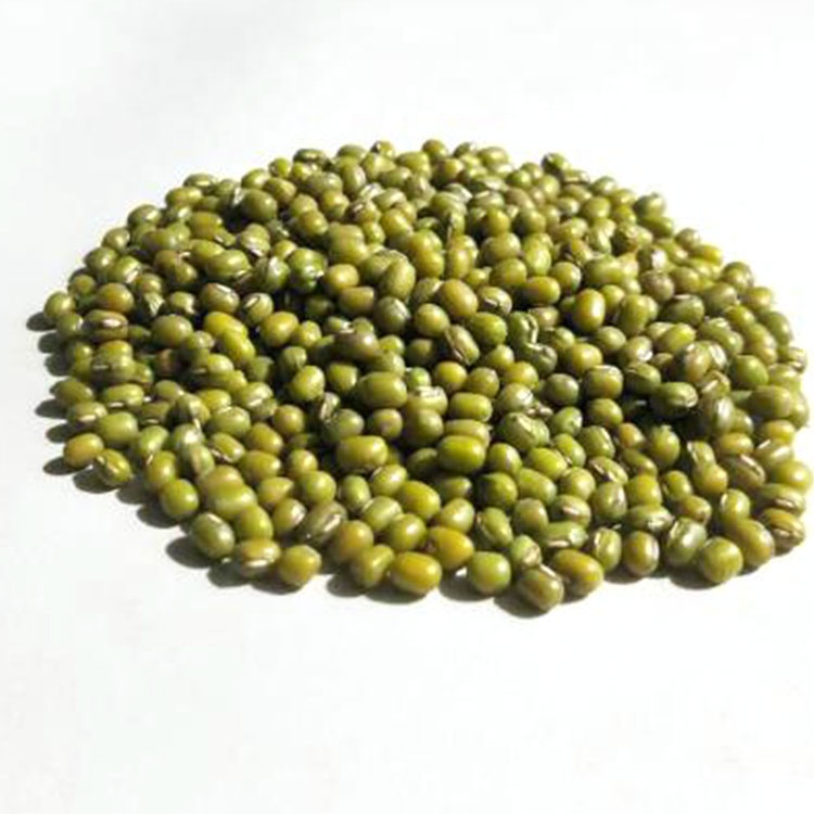 Factory supply high quality green mung beans with competitive price