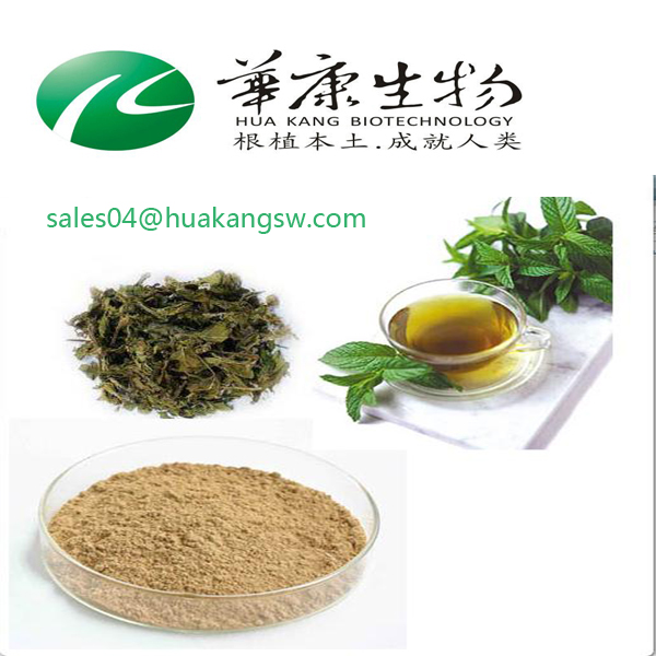 100% натуральный 5% кофеин/25% полифенолы Yerba Mate экстракт порошок оптом, Yerba Mate чай 10:1
