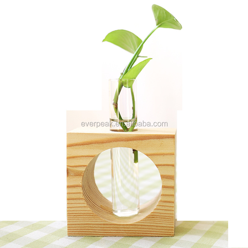 Wholesale indoor water plants home decoration