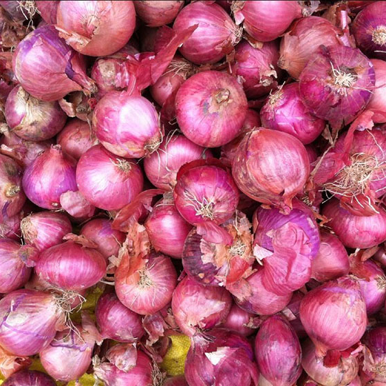 red onion from China