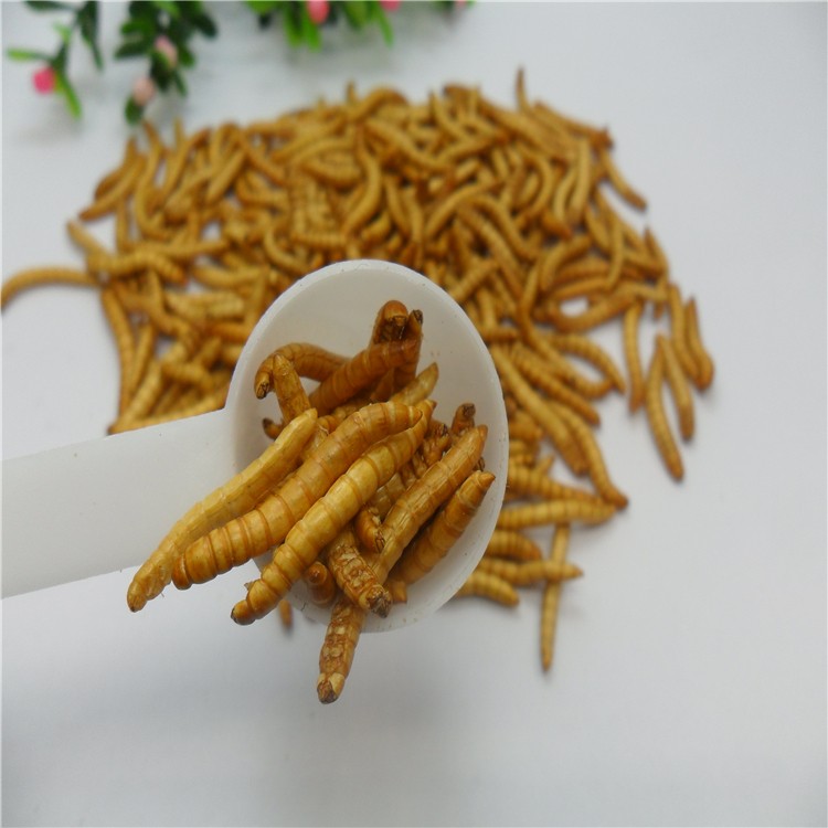 Оптовая продажа корм для животных замораживание Сушеные Mealworms