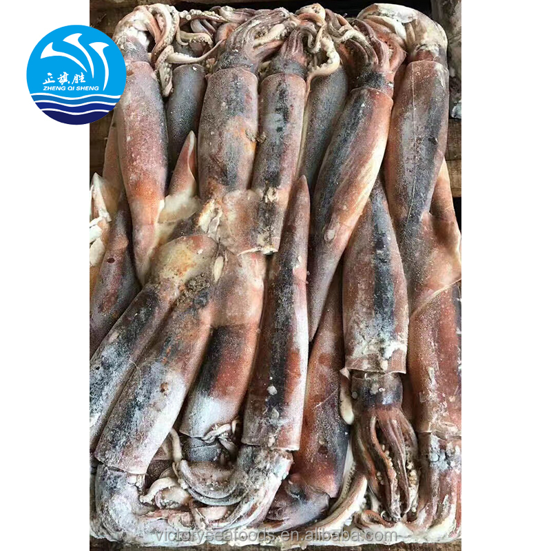 Замороженный аргентинский кальмар Illex, цельный круглый кальмар