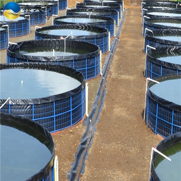 fish farm pond liner hdpe geomembrane 1mm for circular fish tank
