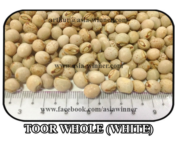 Pigeon Peas White Type