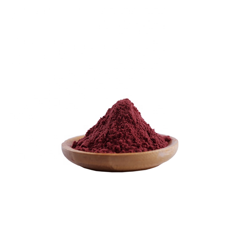 BRC ISO Factory Natural Proanthocyanidins Vaccinium Macrocarpon Cranberry Fruit Dried Extract Powder