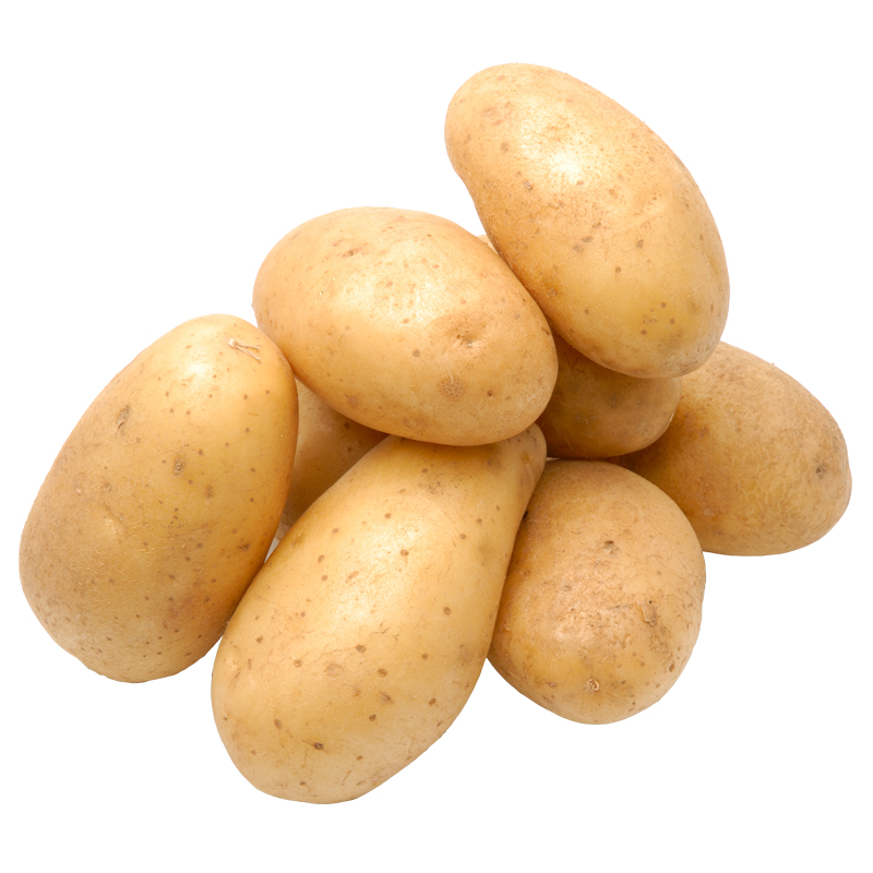 Holland potato price