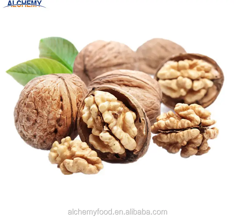 walnut inshell price china compare to north american california chandler walnuts in shell