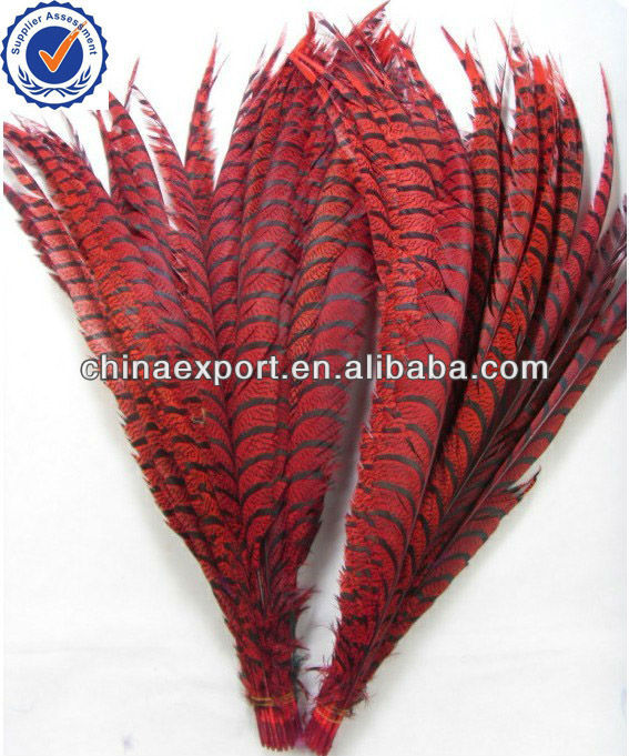 Алмазный фазан 110 120 перья из хвоста фазана см