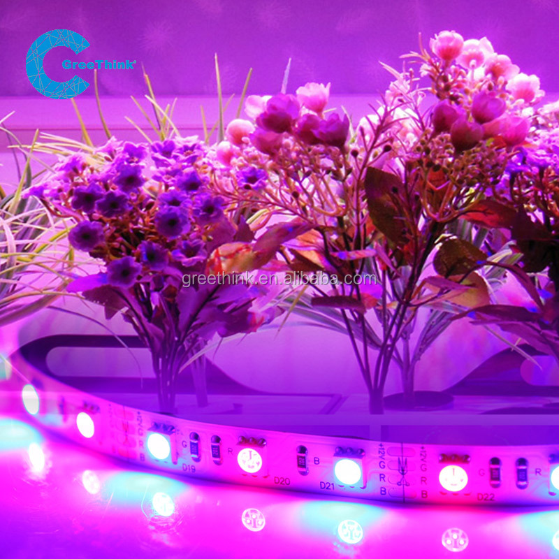 Best Price 12V 15W 3528 60leds IP33 Greenhouse Agriculture led strip grow lights