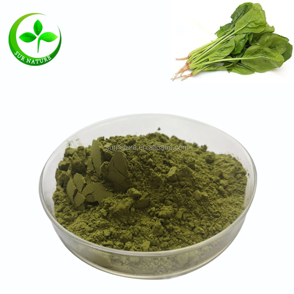 100% Natural Fresh Wholesale Bulk Top Popular Spinach Extract Powder
