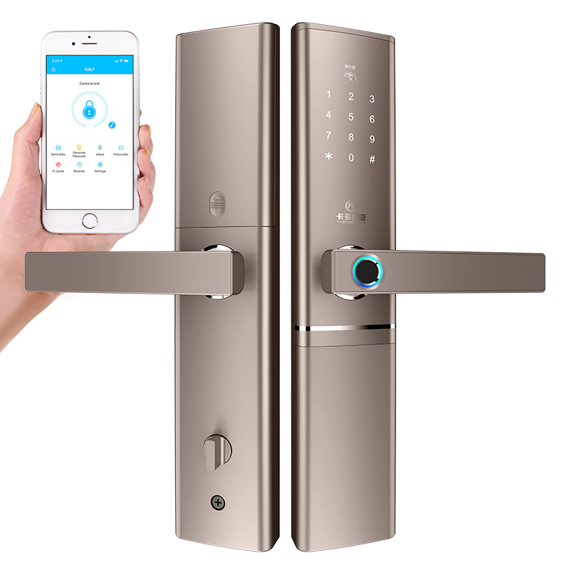Cardoria Android IOS APP дистанционное управление Smart bt APP цифровой дверной замок Wifi уличный дверной замок для отеля