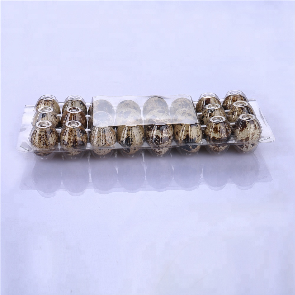 quail egg tray plastic without buckle