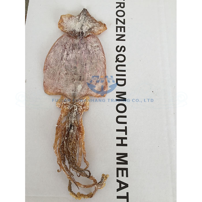 Dried todarodes squid good for soaking factory price