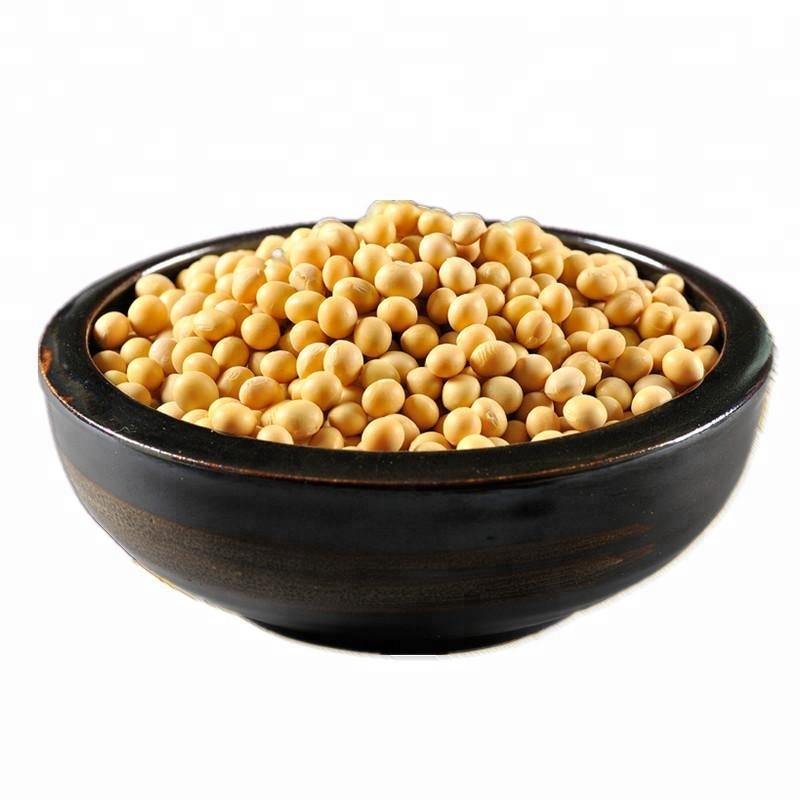 Chinese factory price non-GMO Yellow Soybean Seeds / Soya Bean /Soy Beans on sale