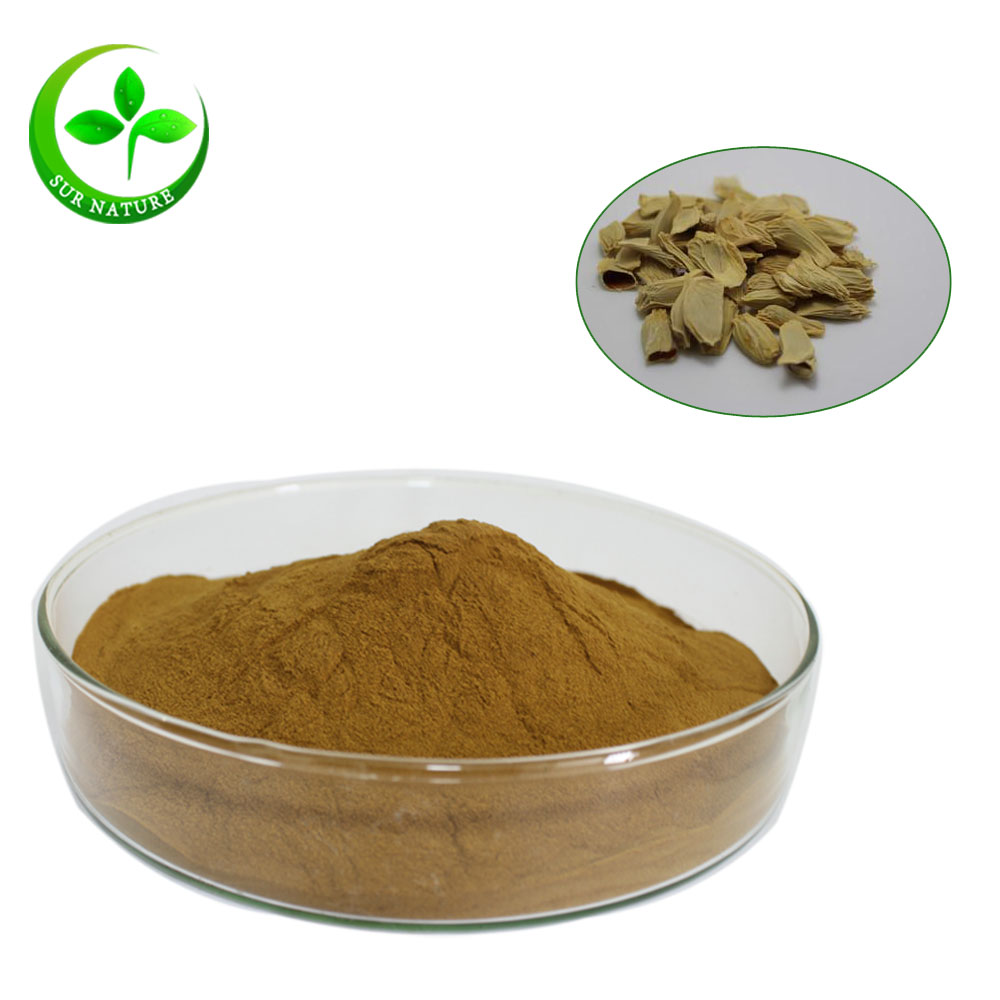 100% Fresh Natural Grapefruit Seed Extract Powder Wholesale