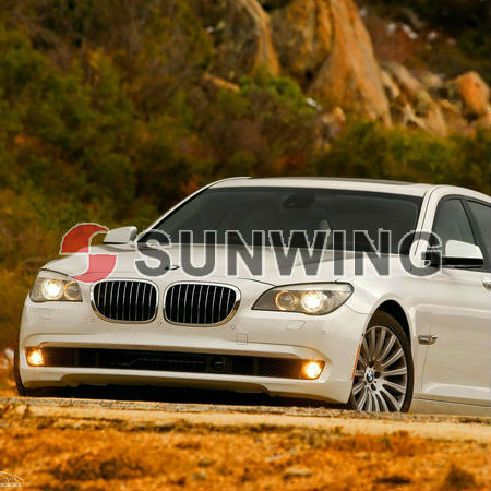 High End Пользовательские автомобилей BMW 750Li ковриков