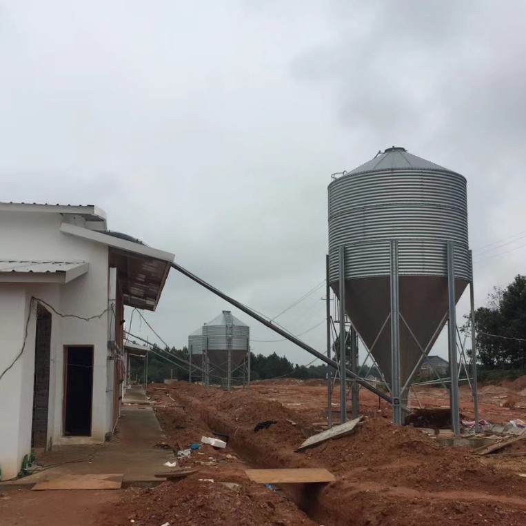 5T Grain Feeding Silo for Chicken House / Feeding Line