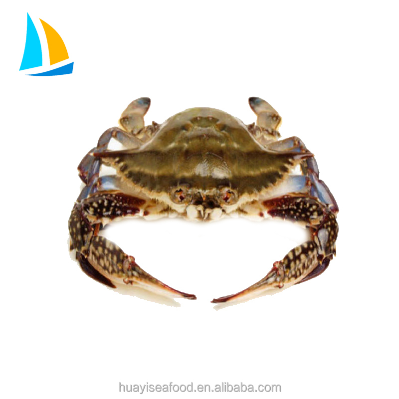 Замороженный синий плавающий Краб portunus pelagicus