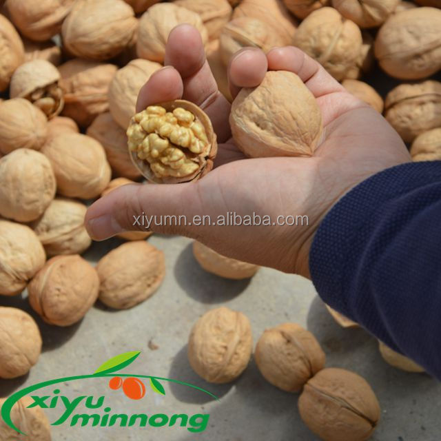 Синьцзян Aksu walnut185