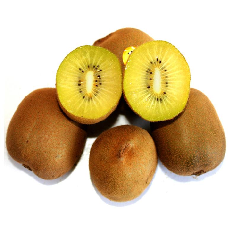 Золотые фрукты Kiwifruit свежий стиль органический Kiwifruit цены