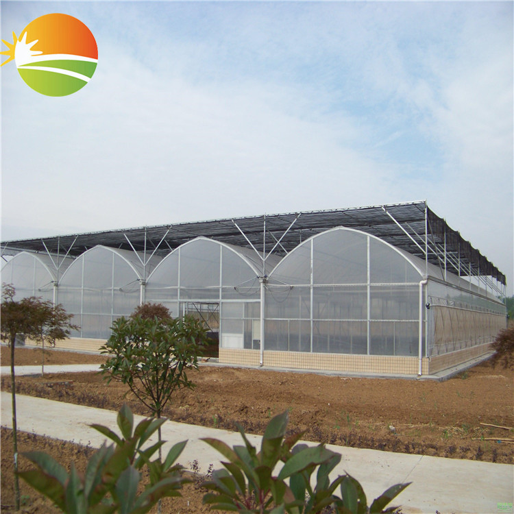 hydrophonic greenhouse