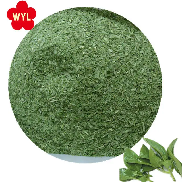 High Quality Chopped Leaves Frozen Basil Spices