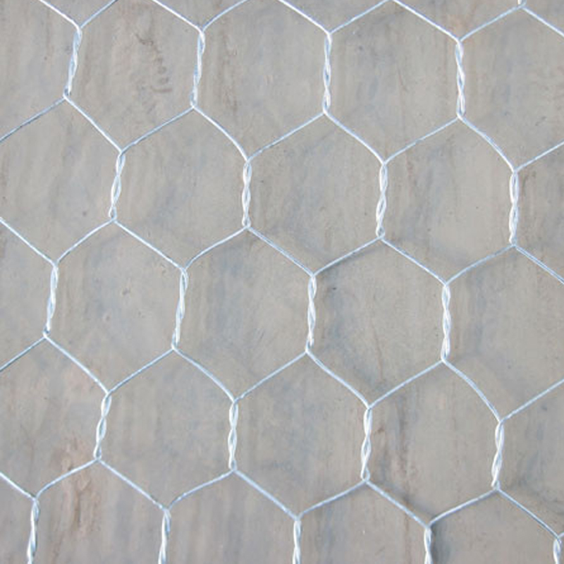 chicken mesh/hex netting/iron wire mesh