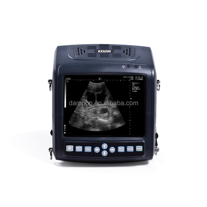 Kx5200V veterinary wrist ultrasound scanner for pig/sheep/goat/cow/horse/dog /cat/pet