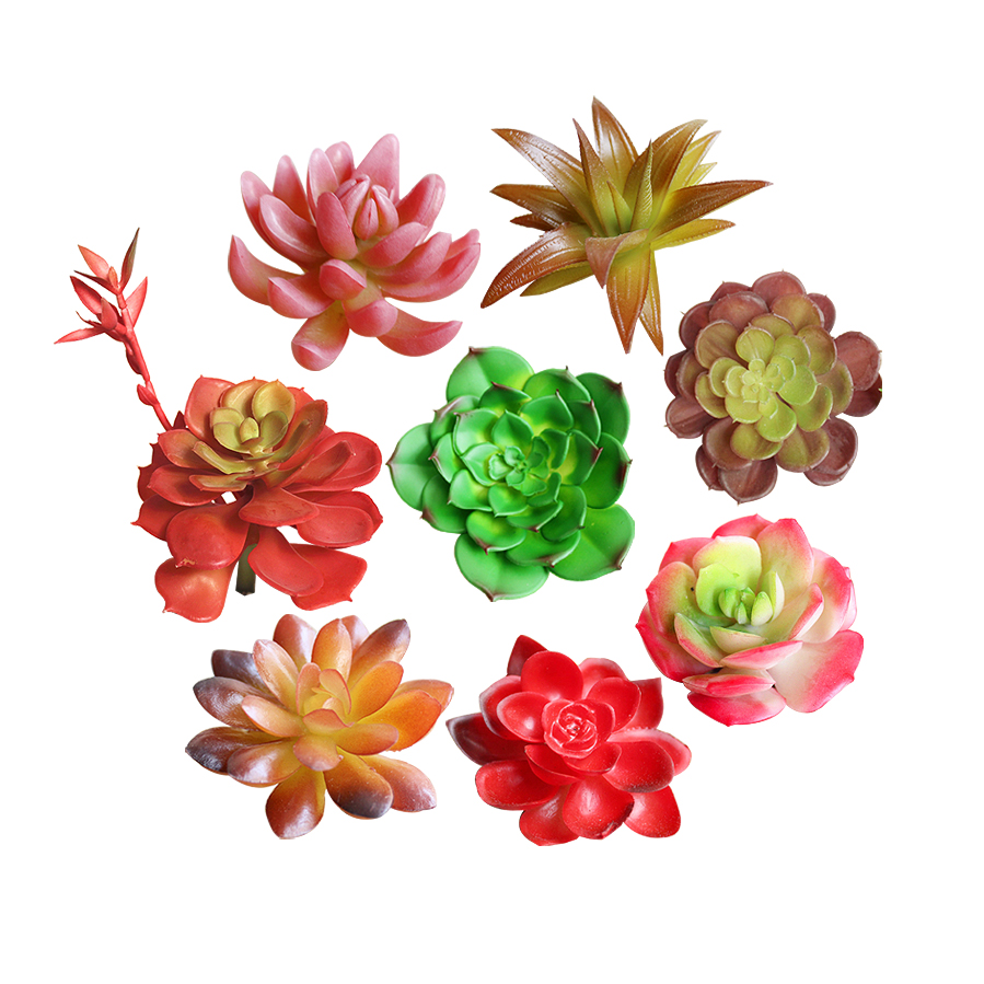 Натуральные Искусственные суккуленты Echeveria Real Touch