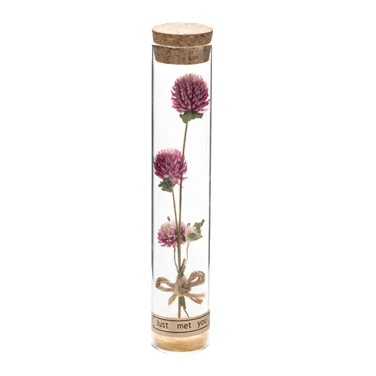 INS style dried flowers bottle as gift