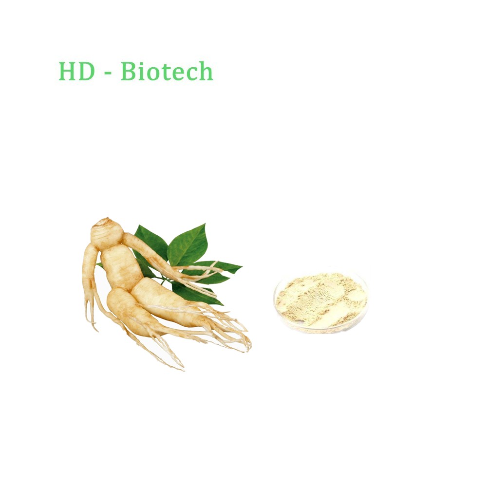 Natural Panax Ginseng Root Extract 80% Ginsenoside
