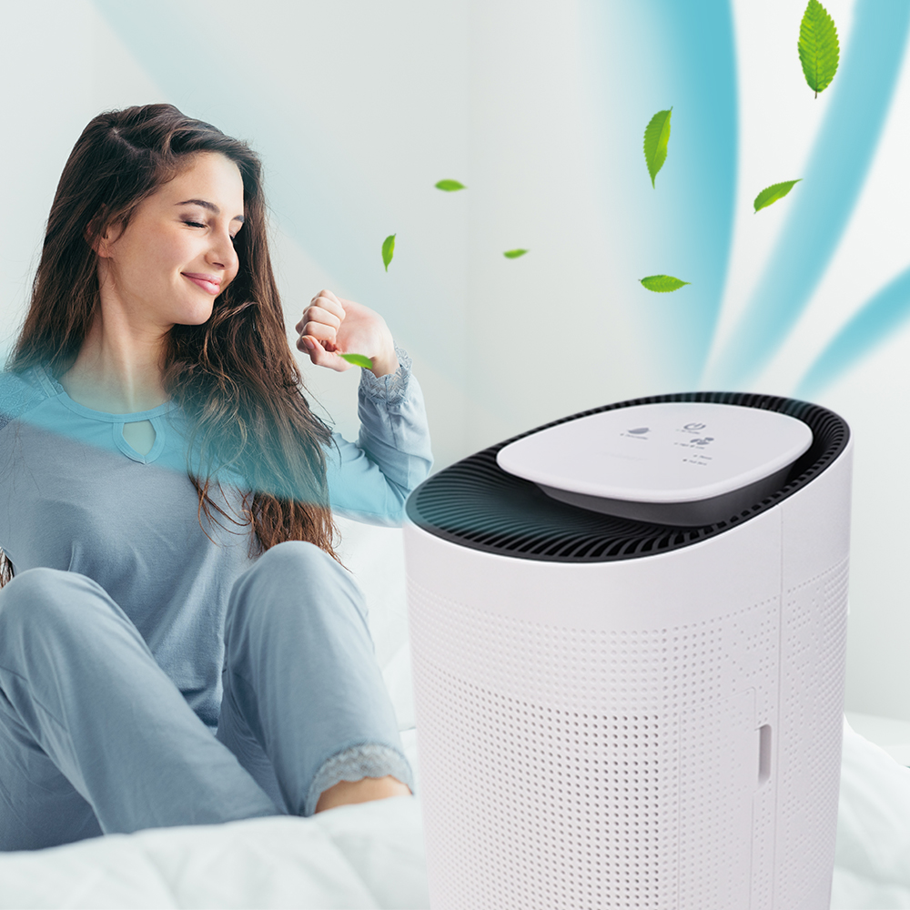 2020 New Arrival Guandong Air Purifier Portable Mini 1L Air Dehumidifier with HEPA Filter