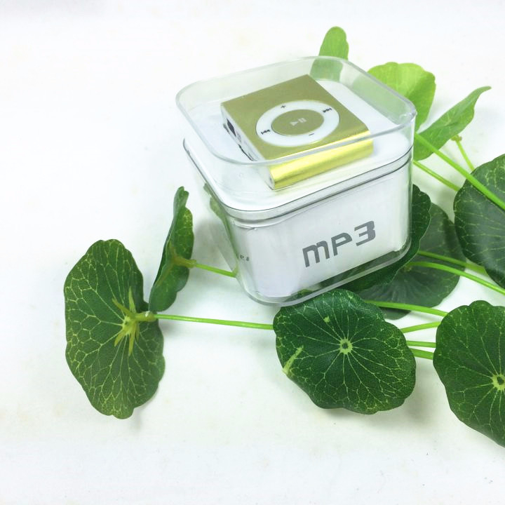 Mp3-плеер, металлический MP3-плеер с sd-картой 8 ГБ, популярный и популярный товар