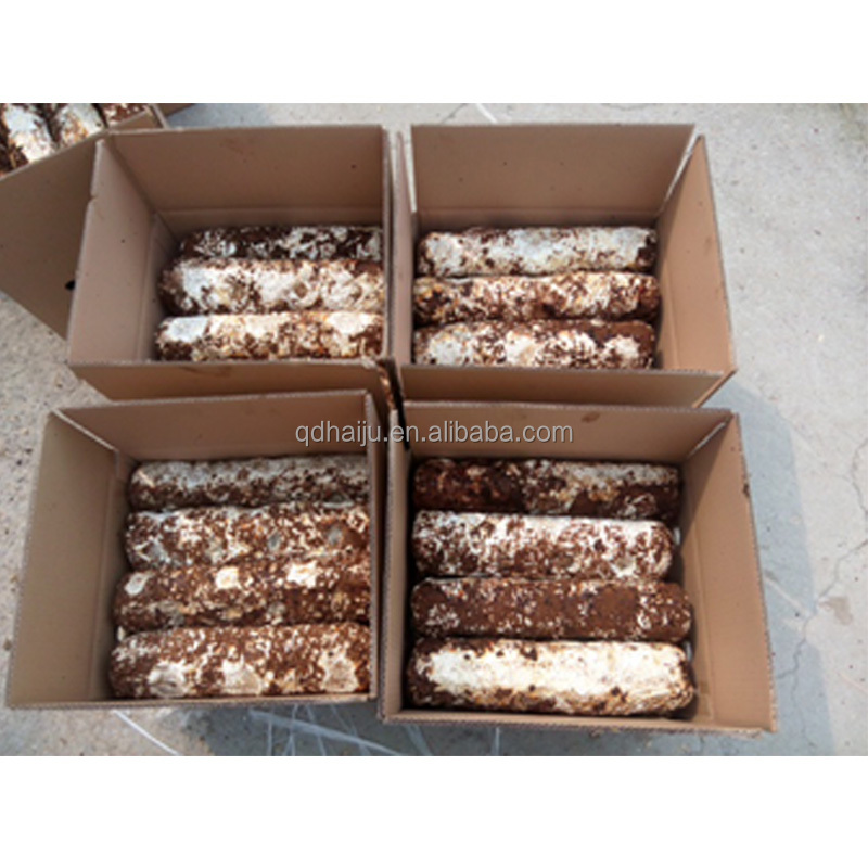 Конкурентоспособная цена на журналы Shiitake в Китае