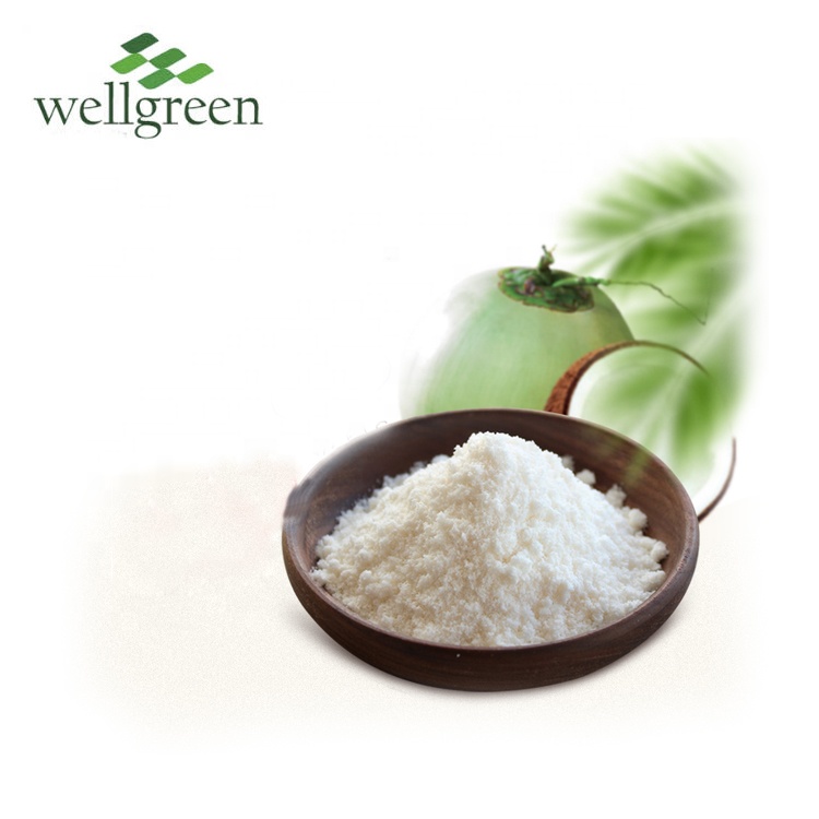 Wellgreen Лучшая цена низкий жир осушенный кокосовый порошок