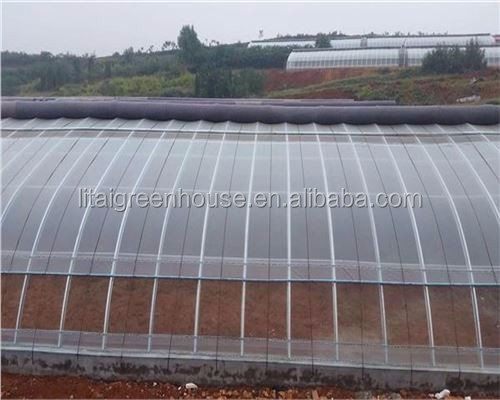 Agriculture solar greenhouse with Hydroponics