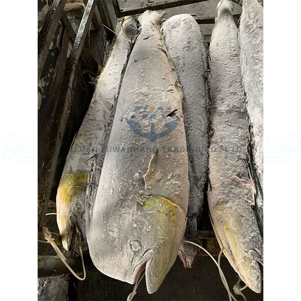 Цельная круглая морская волна MAHI по оптовой цене