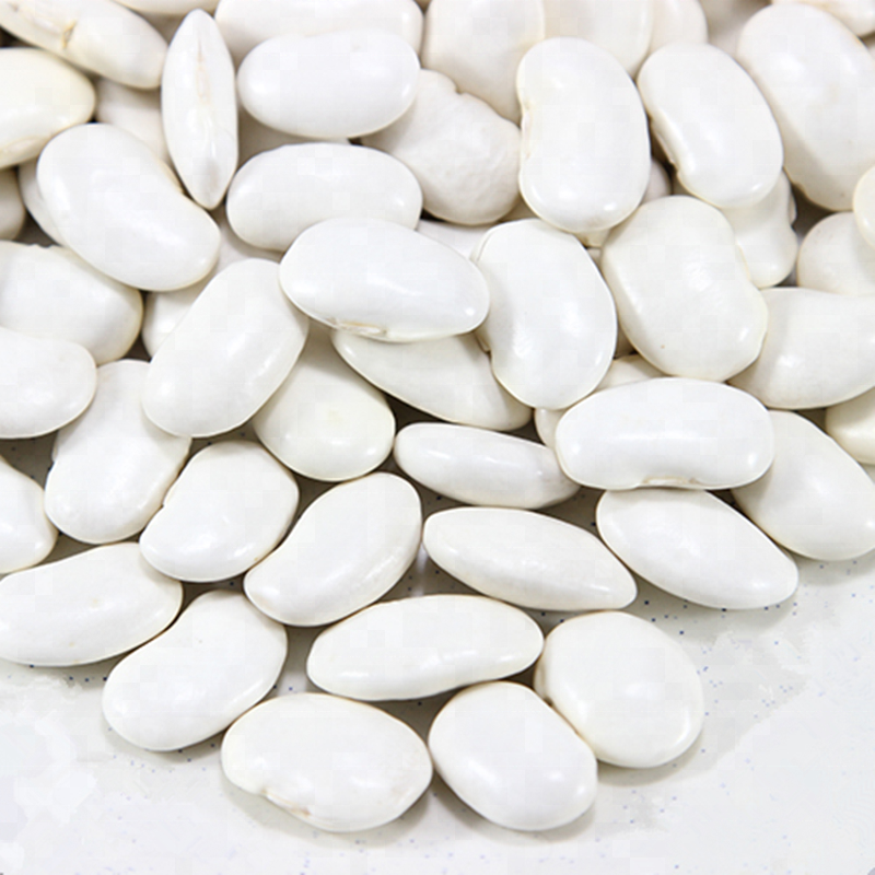 Белая фасоль для консервированных продуктов