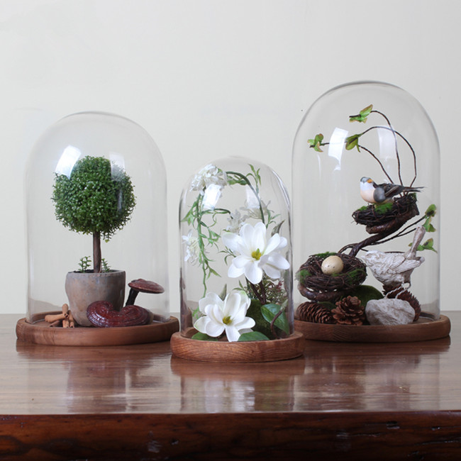 hot selling popular different sizes glass dome display with wooden base