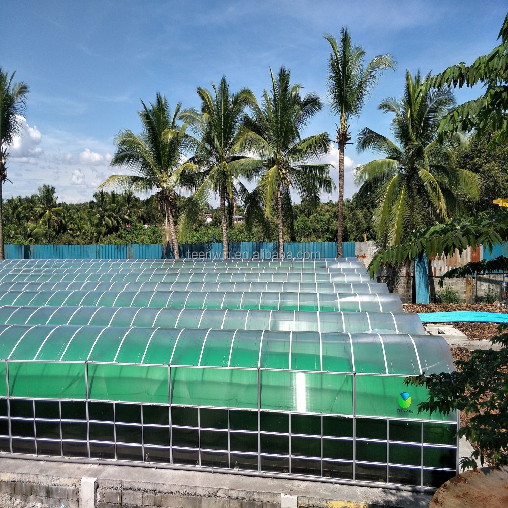 Teenwin high efficient medium size biogas plant for farms for electricity