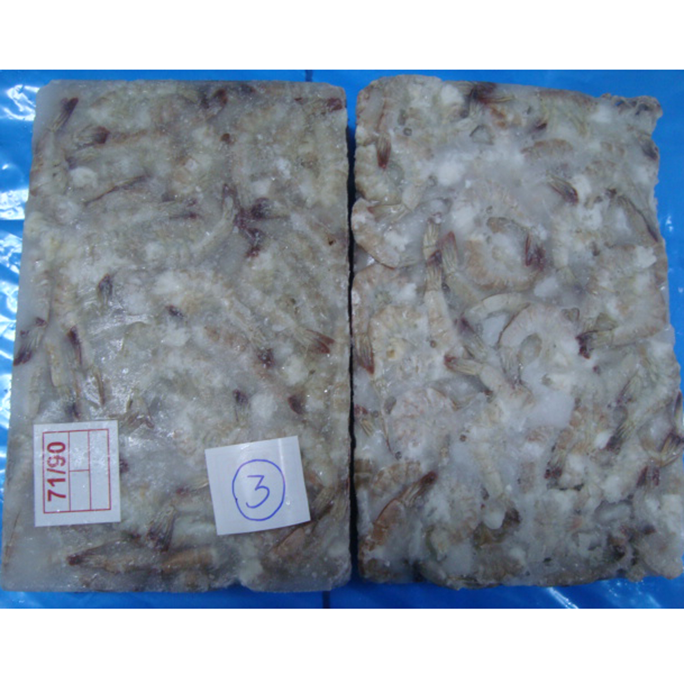 Hot Sale Good Quality Frozen BQF Vannamei Shrimp HLSO