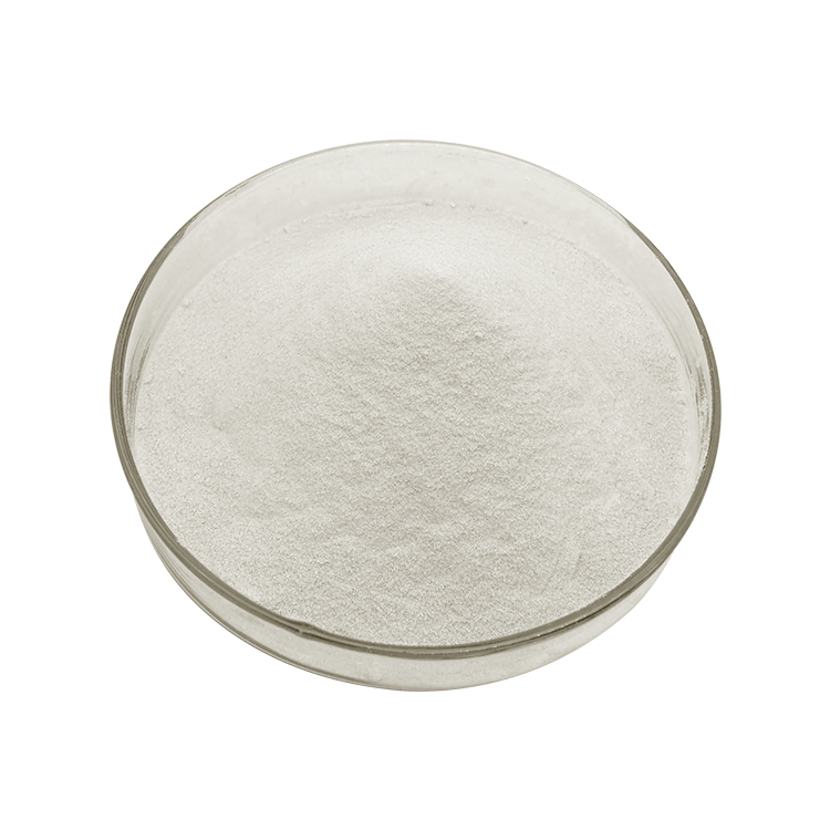 Bulk Powder Wholesale Price Natural Chitosan