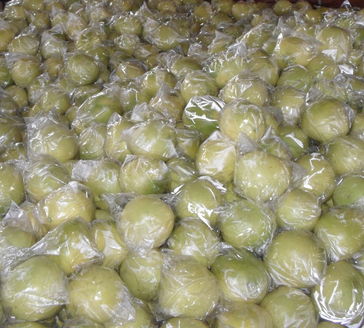 Китайский свежий фруктовый мед pomelo культивирование