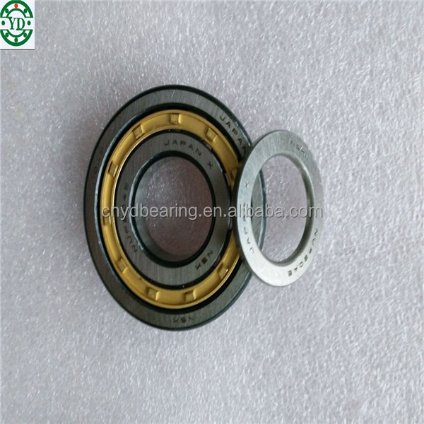 NUP309 Japan NSK nylon cage roller bearing NUP309EN-TVP2 NUP309EN.TVP2