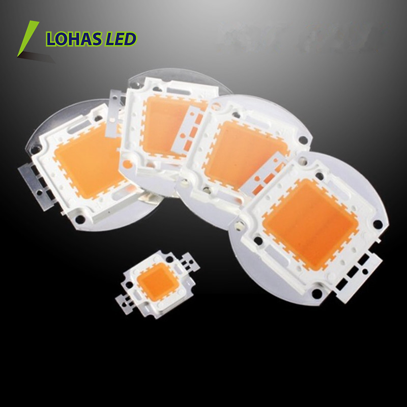 2016 полный спектр COB LED Chip 12V 24V 30V 34V 10W 20W 30W 50W 100W 200W High Power COB LED Chip LED Grow Light Chip