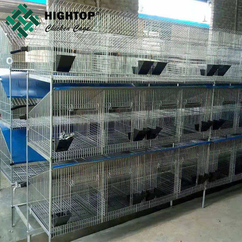 Автоматическая проволочная сетка для кроличьего кролика