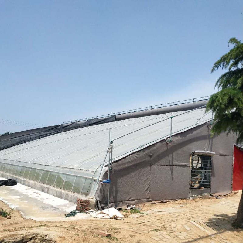 Agriculture Thermal Blanket China Solar Greenhouse Vegetables Planting Small Film Hot-dip Galvanized Steel Pipe >20 Years